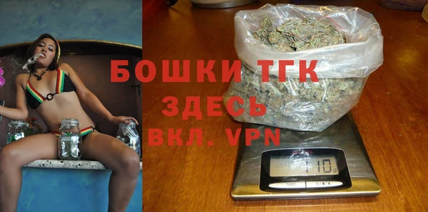 СК Коряжма