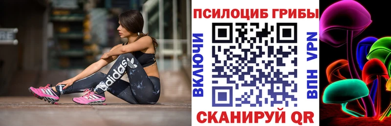 Купить закладки  Можайск  Галлюциногенные грибы мухоморы 